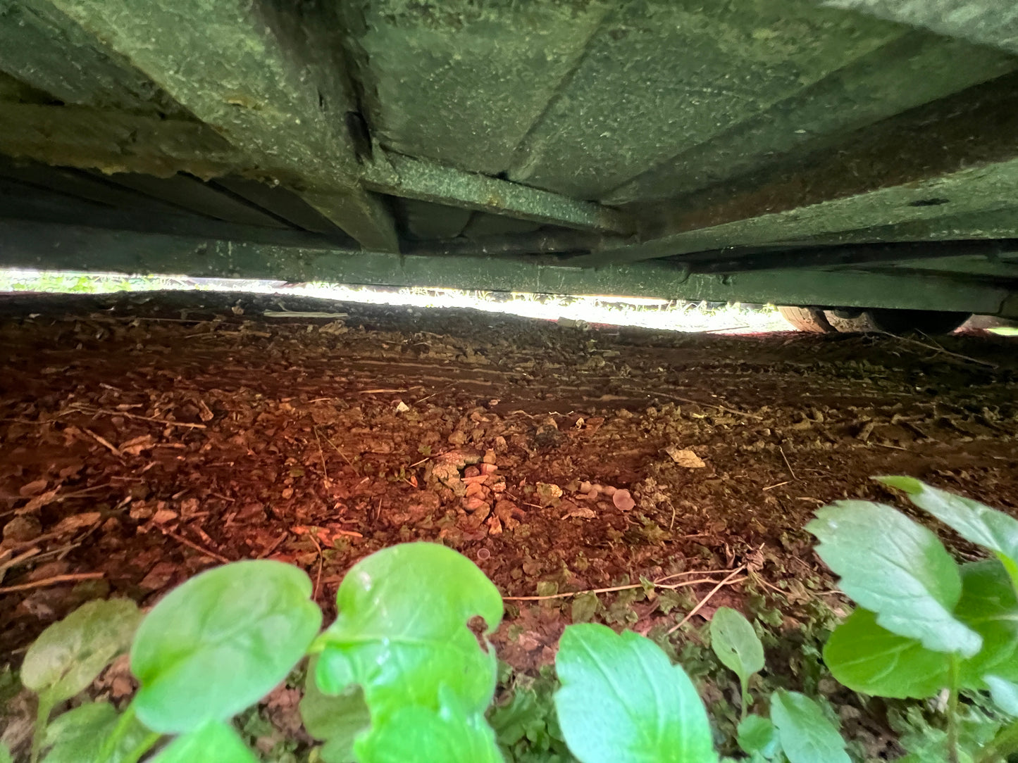 2014 Hyundai Universe