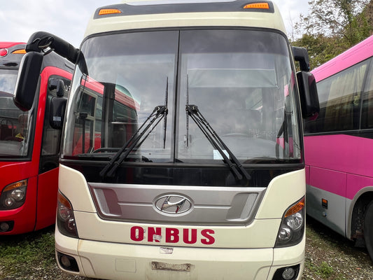 2011 Hyundai Universe