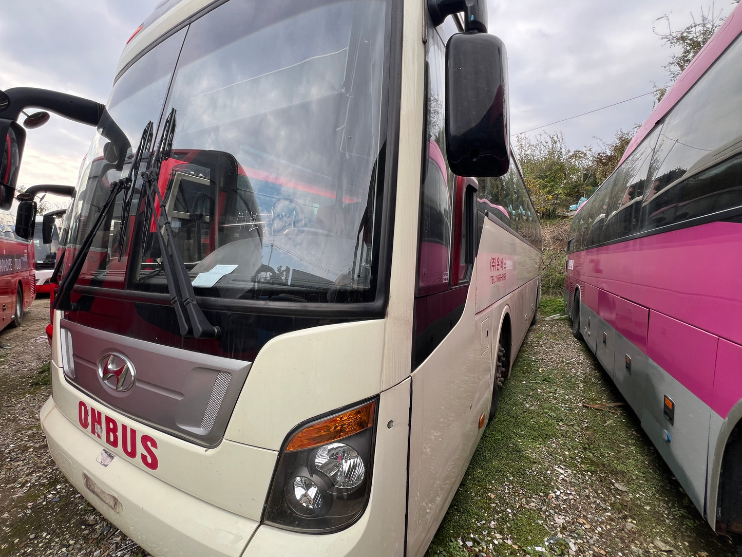 2011 Hyundai Universe