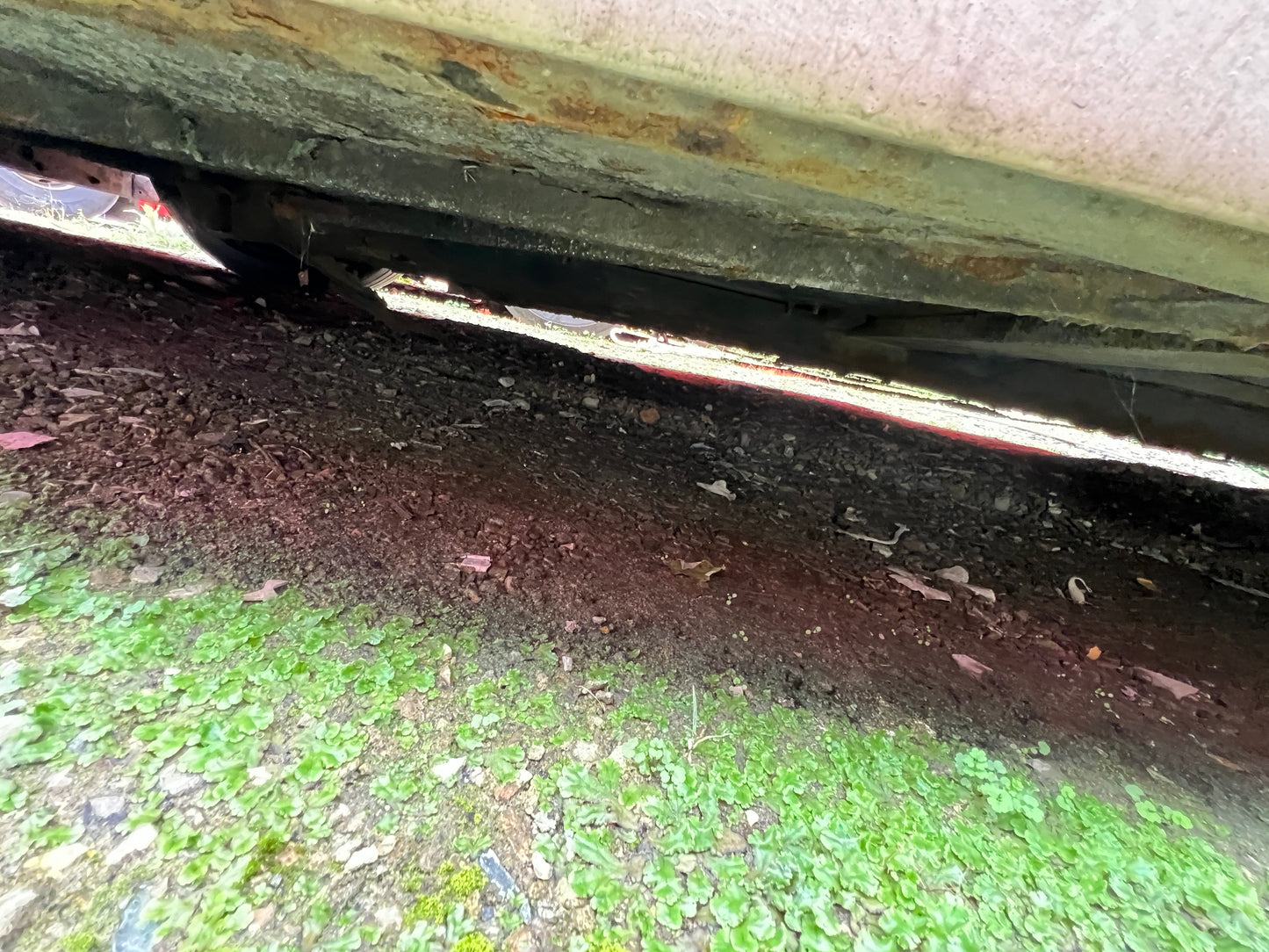 2011 Hyundai Universe