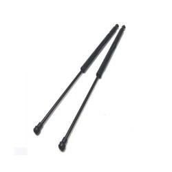 County Trunk shock absorber